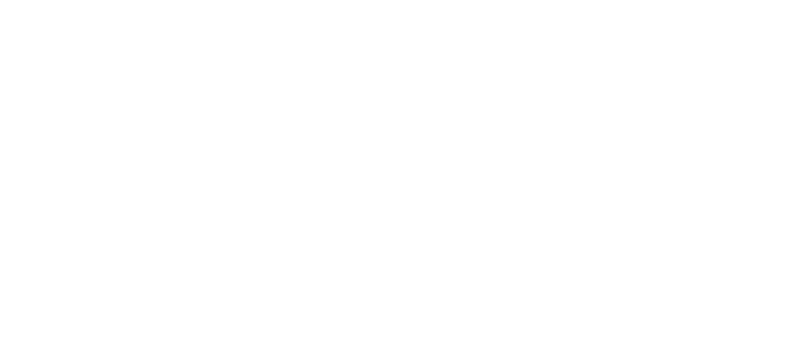 icono graphics adrian höllerl